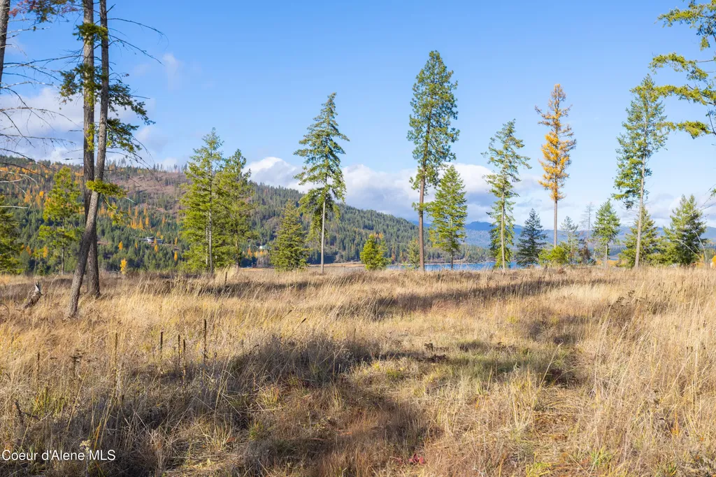 Nna Woodchuck Dr, Lot 15 Priest River ID 83856