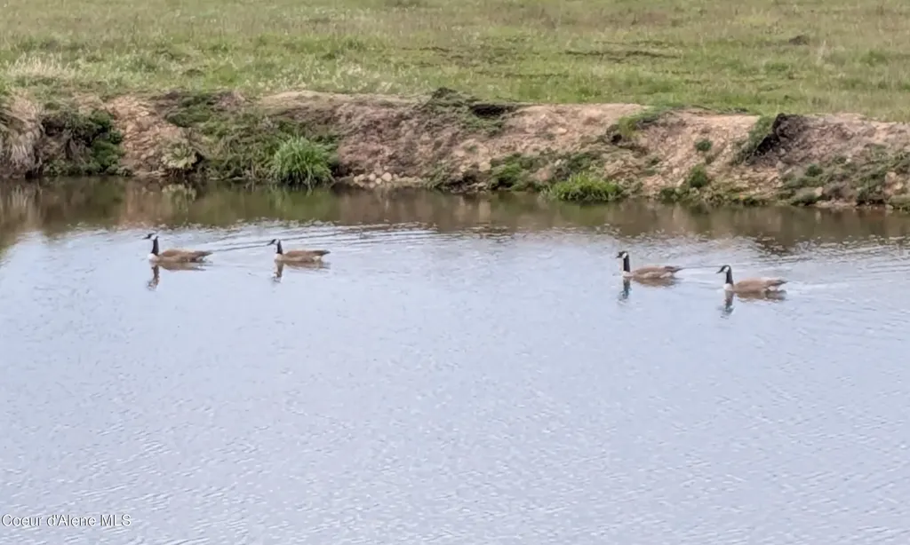 109 Liberty Lane Santa ID 83866