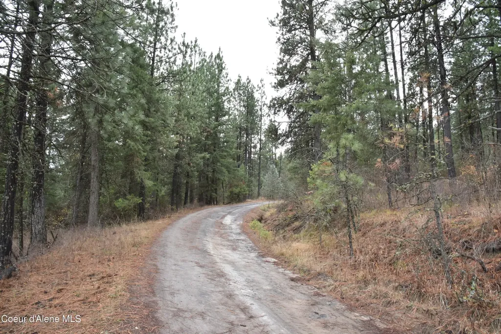 Nka Shady Lane Desmet ID 83824