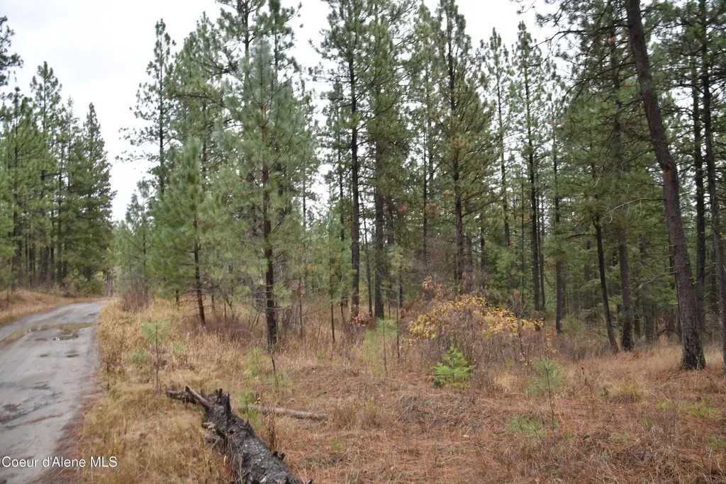 Nka Shady Lane Desmet ID 83824