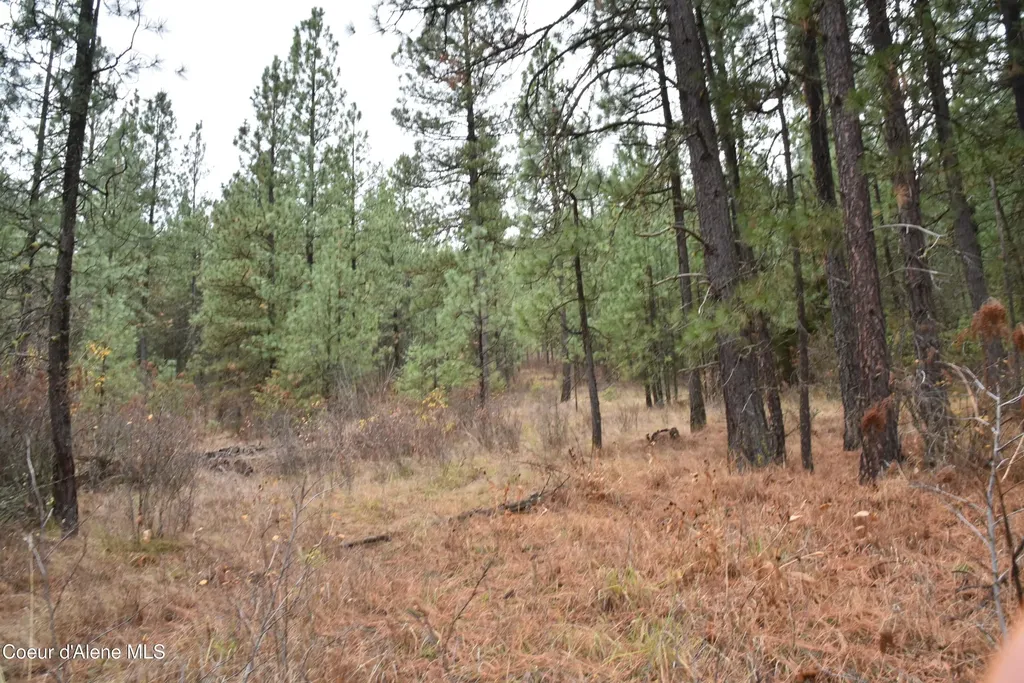 Nka Shady Lane Desmet ID 83824