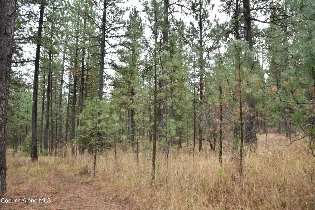 Nka Shady Lane Desmet ID 83824