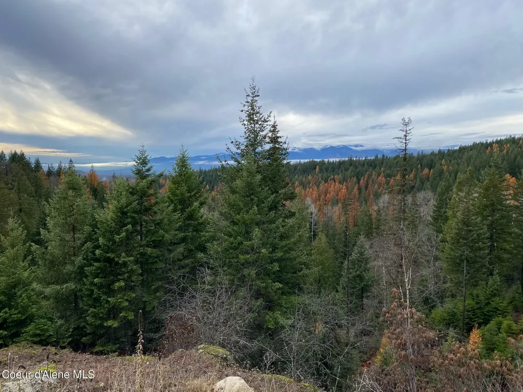 696 Raven Ridge Sandpoint ID 83864