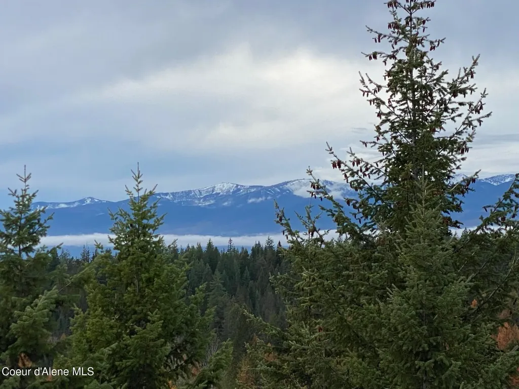 696 Raven Ridge Sandpoint ID 83864