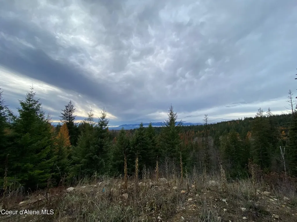 696 Raven Ridge Sandpoint ID 83864