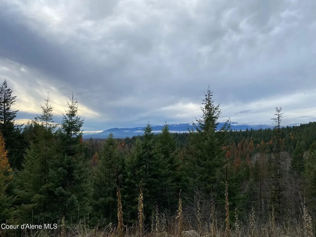 696 Raven Ridge Sandpoint ID 83864