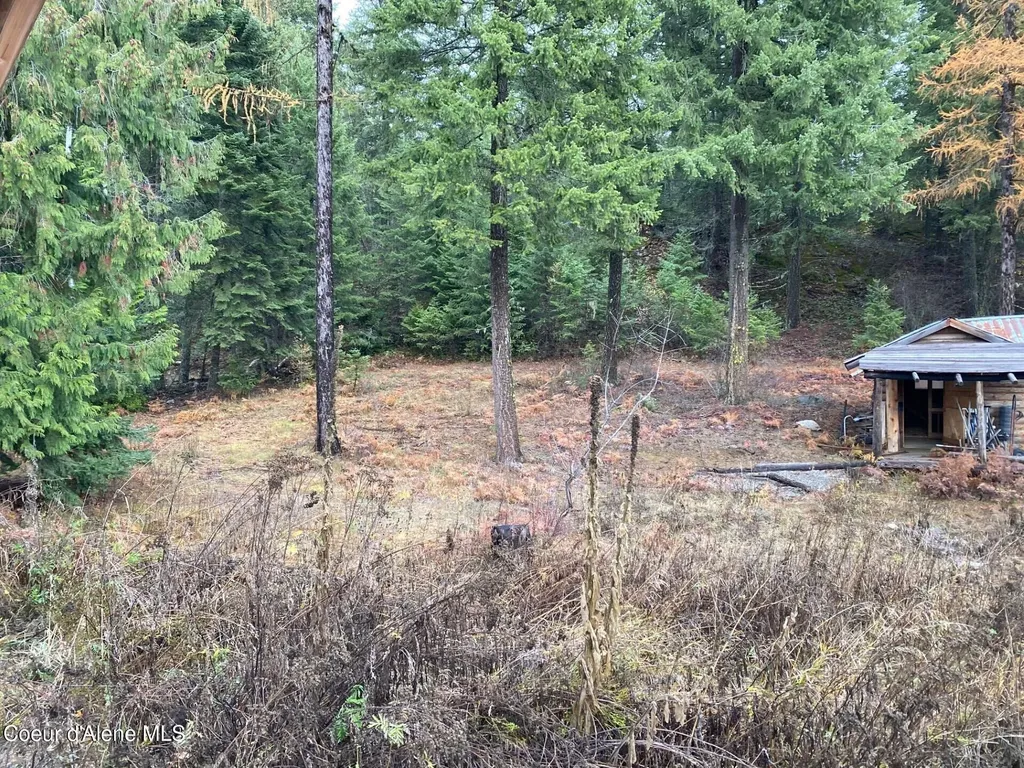 696 Raven Ridge Sandpoint ID 83864