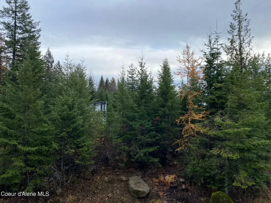 696 Raven Ridge Sandpoint ID 83864