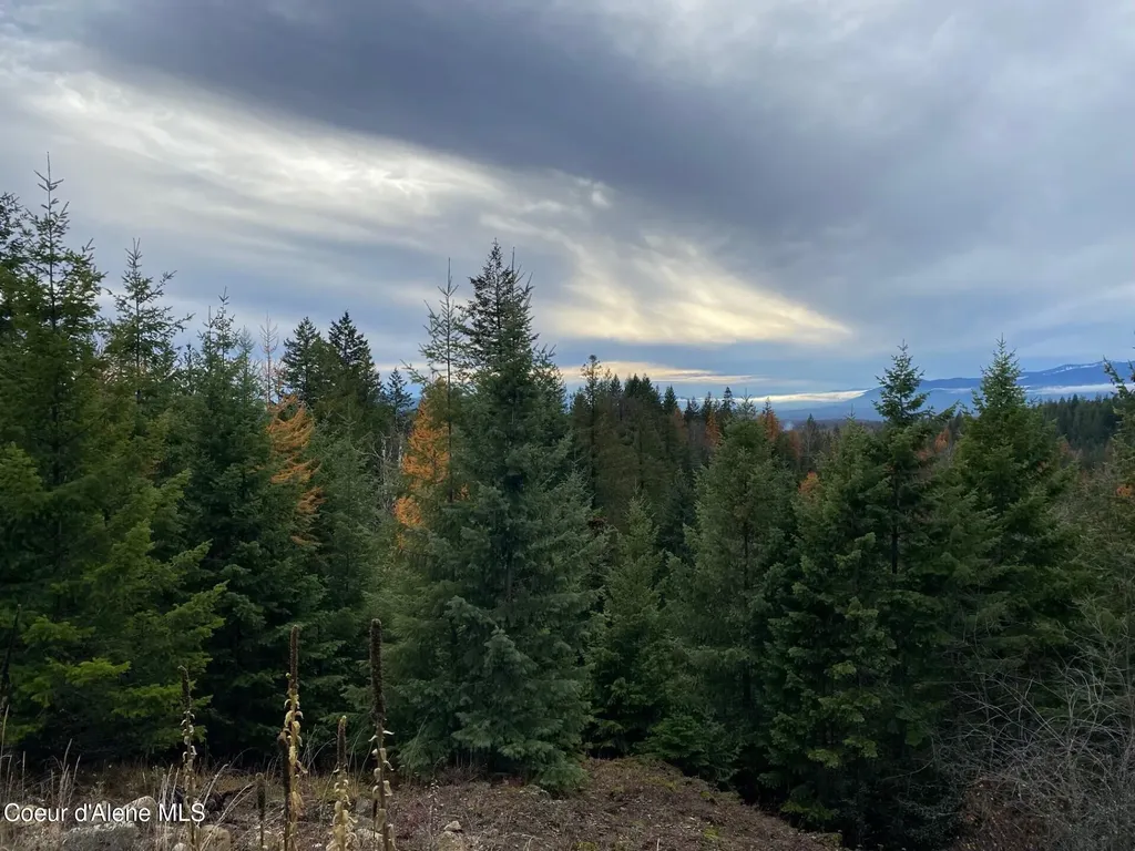 696 Raven Ridge Sandpoint ID 83864