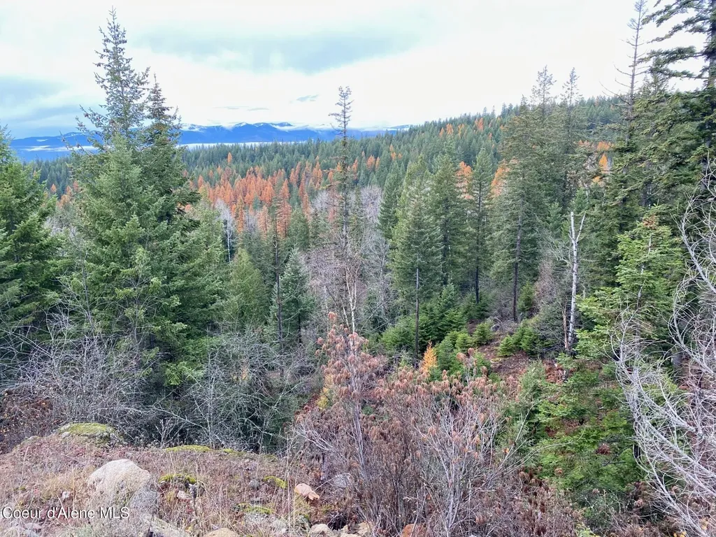 696 Raven Ridge Sandpoint ID 83864