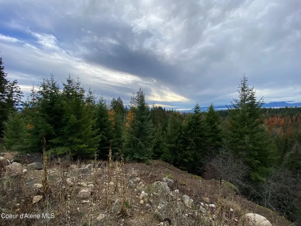 696 Raven Ridge Sandpoint ID 83864