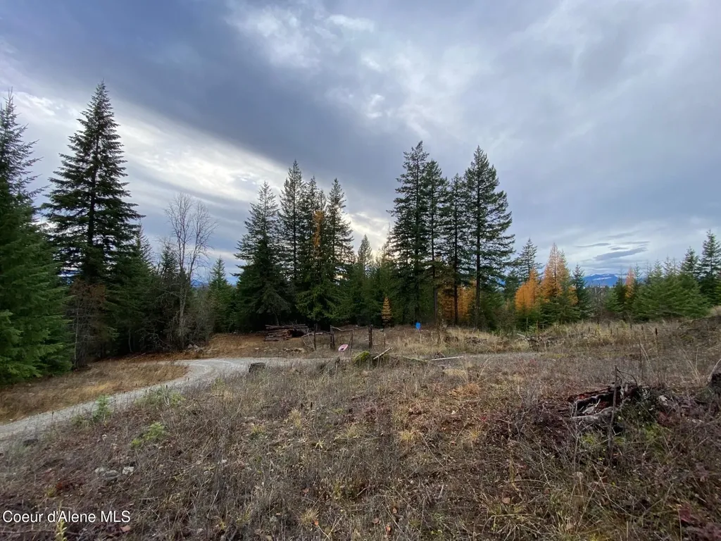 696 Raven Ridge Sandpoint ID 83864