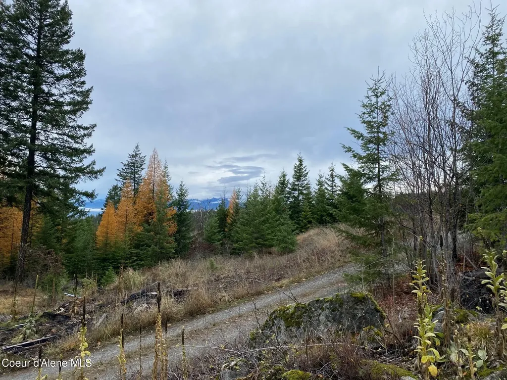 696 Raven Ridge Sandpoint ID 83864