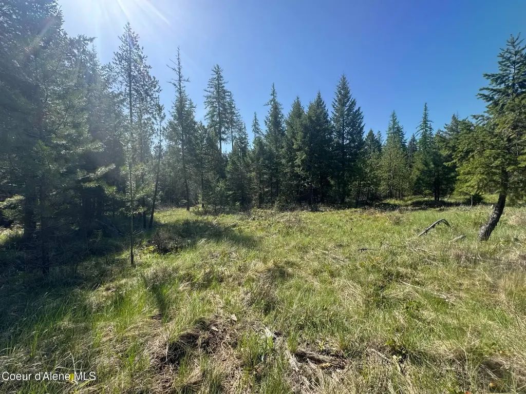 Nka Backroads Way Lot 2 Priest River ID 83856