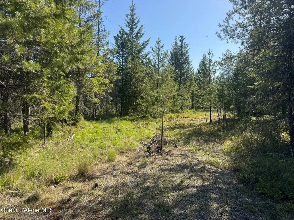 Nka Backroads Way Lot 2 Priest River ID 83856