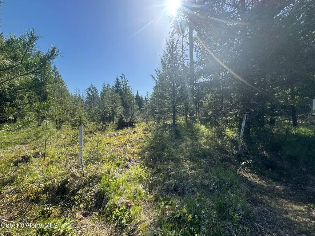 Nka Backroads Way Lot 2 Priest River ID 83856