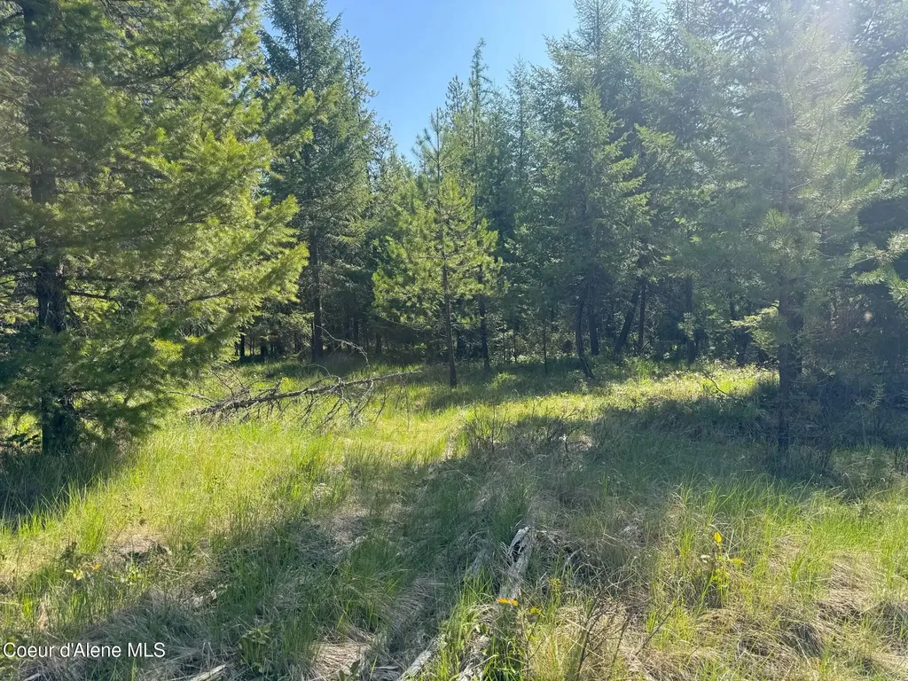 Nka Backroads Way Lot 2 Priest River ID 83856