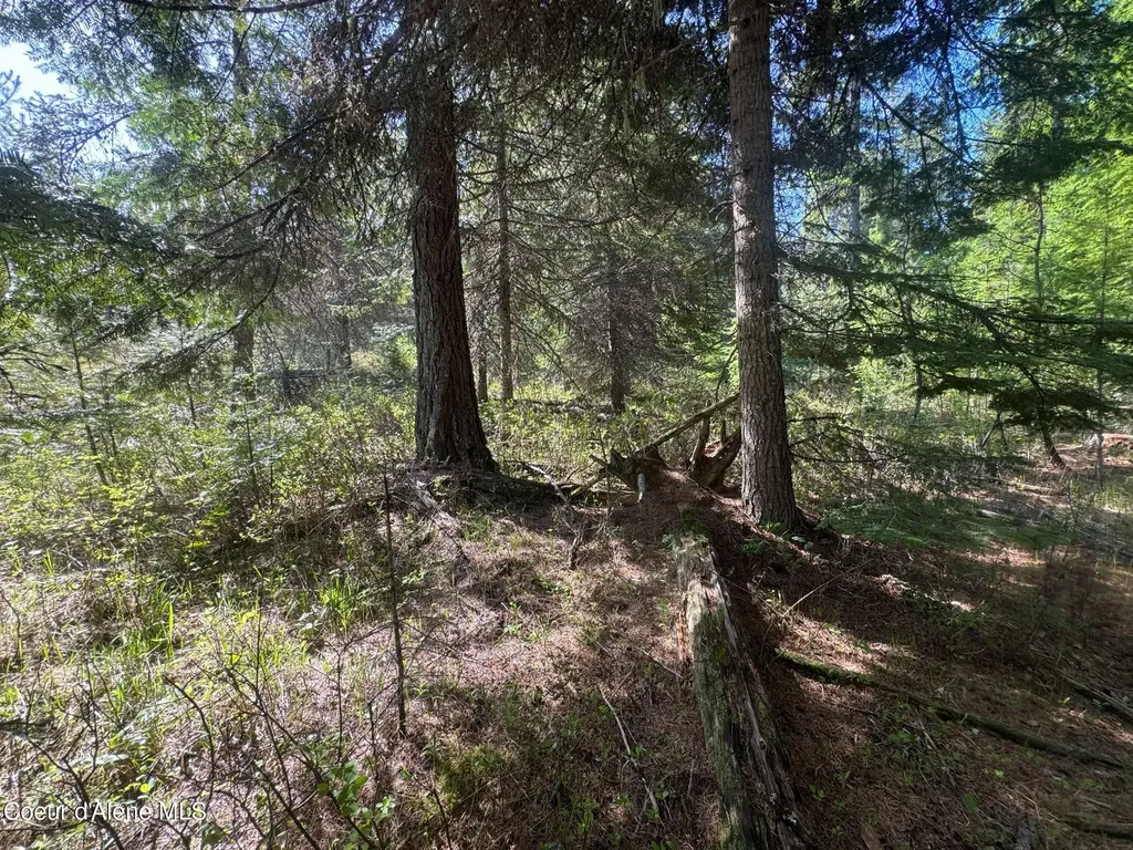 Nka Backroads Way Lot 2 Priest River ID 83856