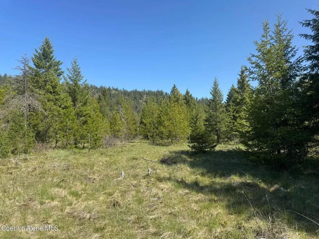 Nka Backroads Way Lot 2 Priest River ID 83856
