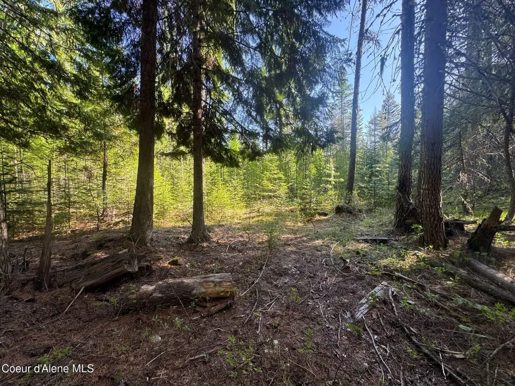 Nna Backroads Way Lot 3 Priest River ID 83856