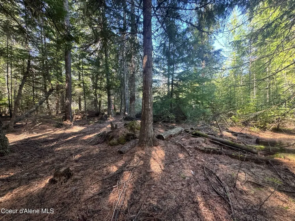 Nna Backroads Way Lot 3 Priest River ID 83856