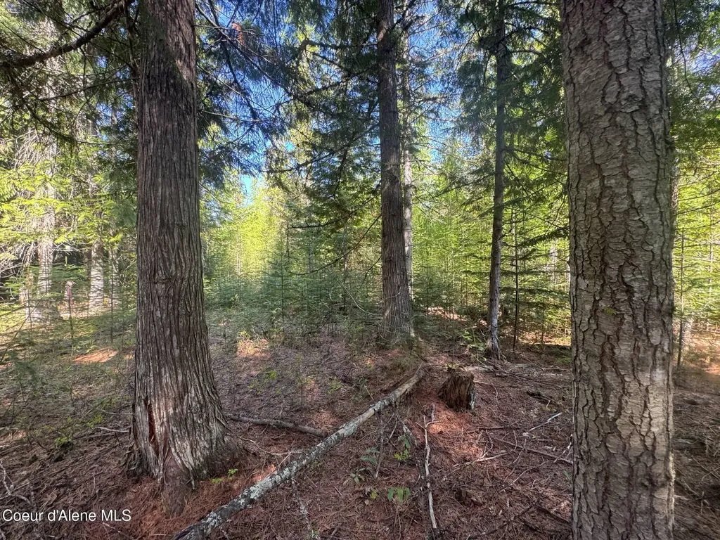 Nna Backroads Way Lot 3 Priest River ID 83856