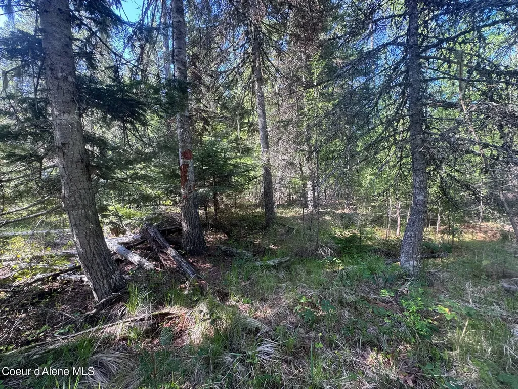 Nna Backroads Way Lot 3 Priest River ID 83856