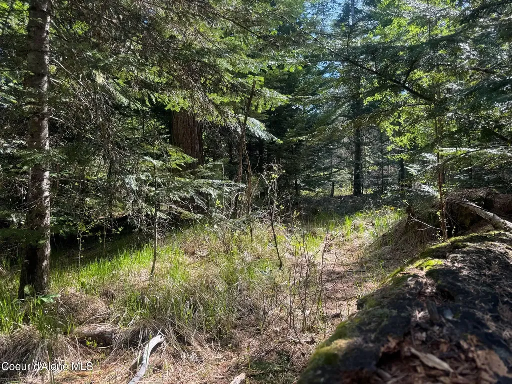Nna Backroads Way Lot 3 Priest River ID 83856