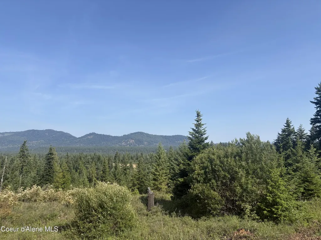 L5 Gemini Lane Rathdrum ID 83858