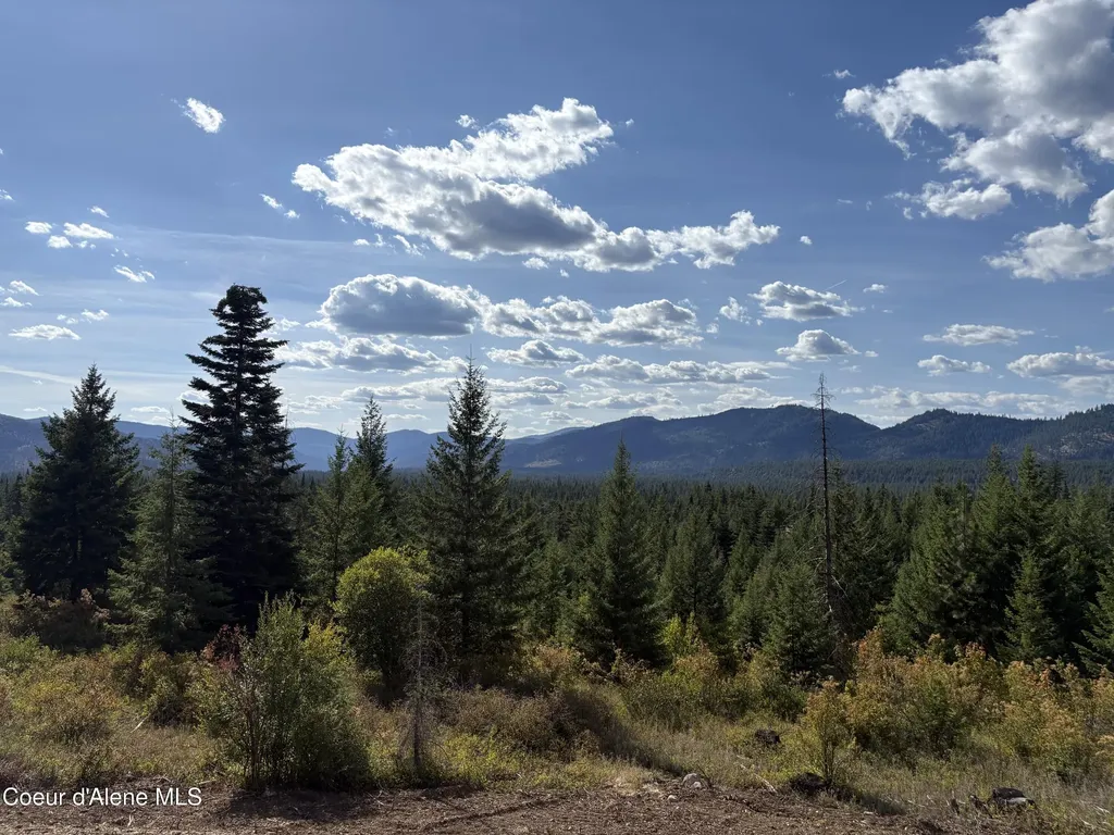 L5 Gemini Lane Rathdrum ID 83858