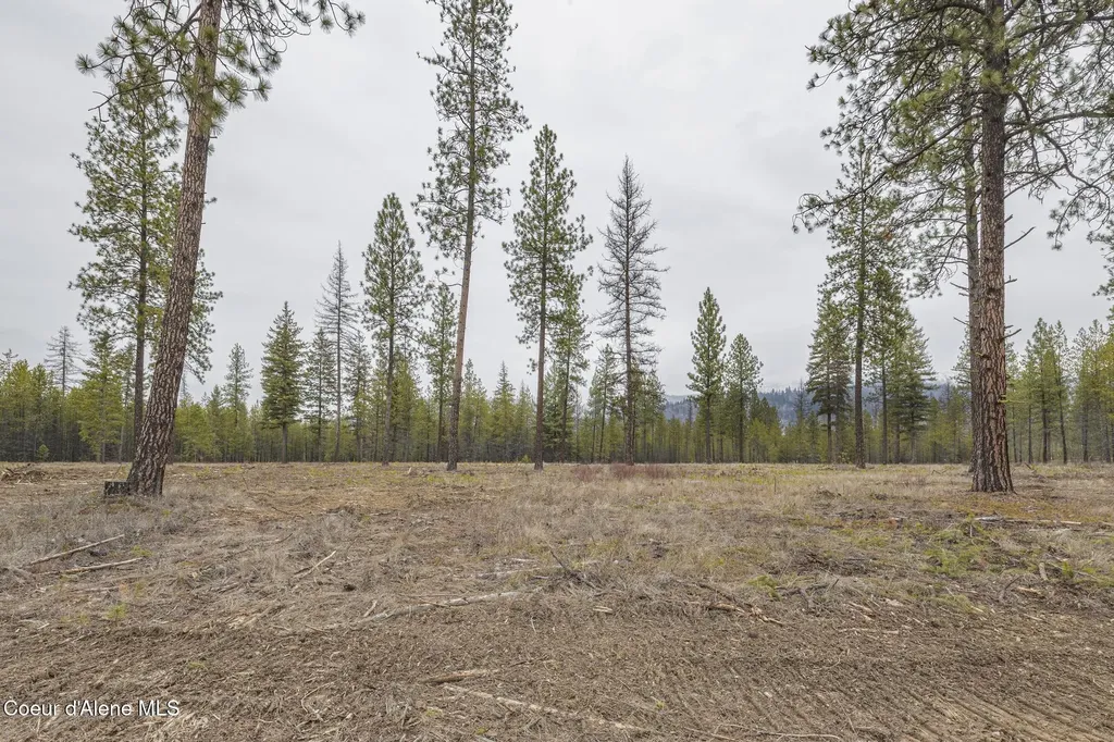 L5 B1 Wallace Lane Blanchard ID 83804