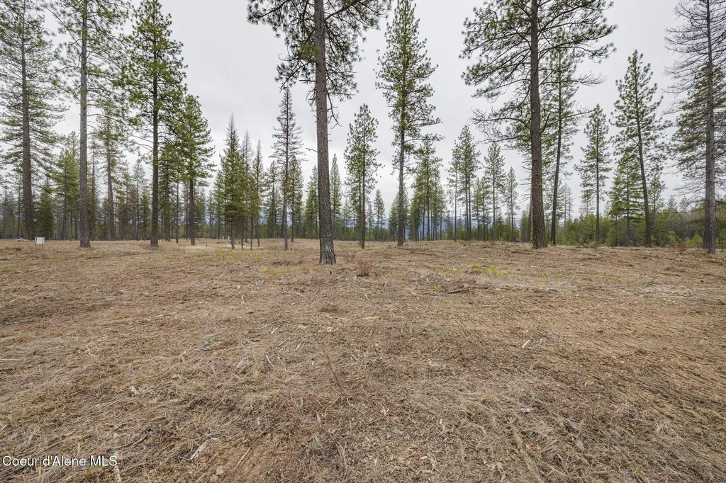 L5 B1 Wallace Lane Blanchard ID 83804