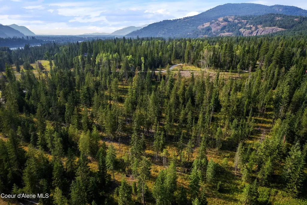 Nka Condor Drive Clark Fork ID 83811
