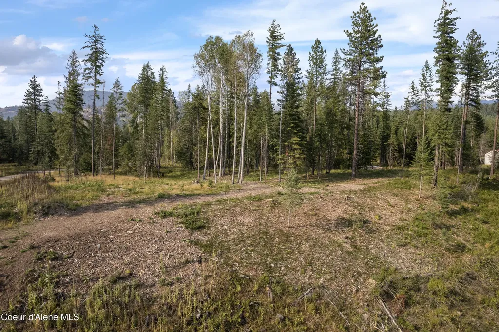 Nka Condor Drive Clark Fork ID 83811