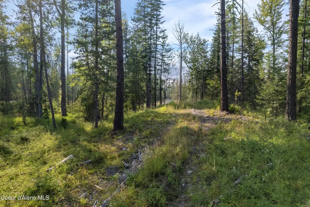 Nka Condor Drive Clark Fork ID 83811