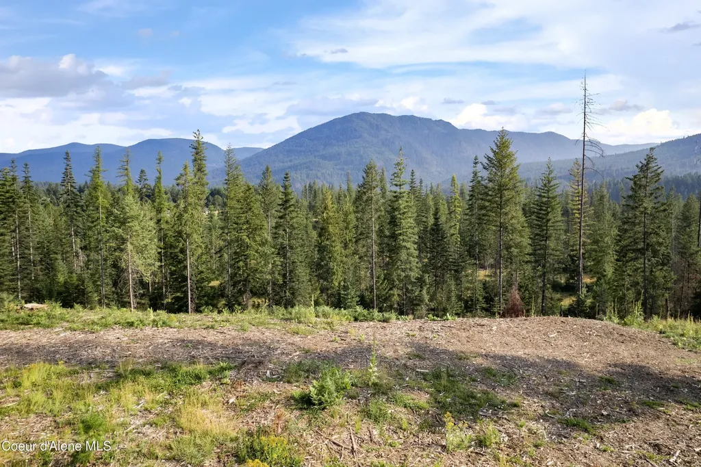 Nka Condor Drive Clark Fork ID 83811