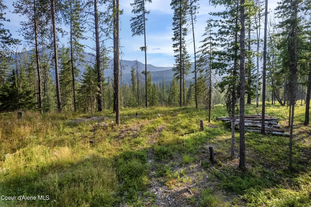 Nka Condor Drive Clark Fork ID 83811