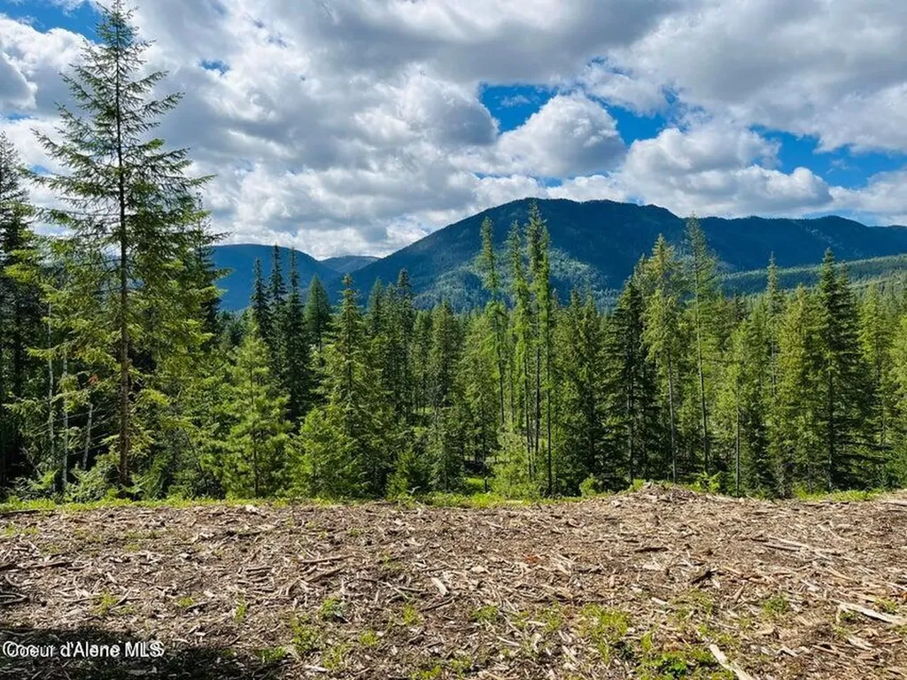 Nka Condor Drive Clark Fork ID 83811