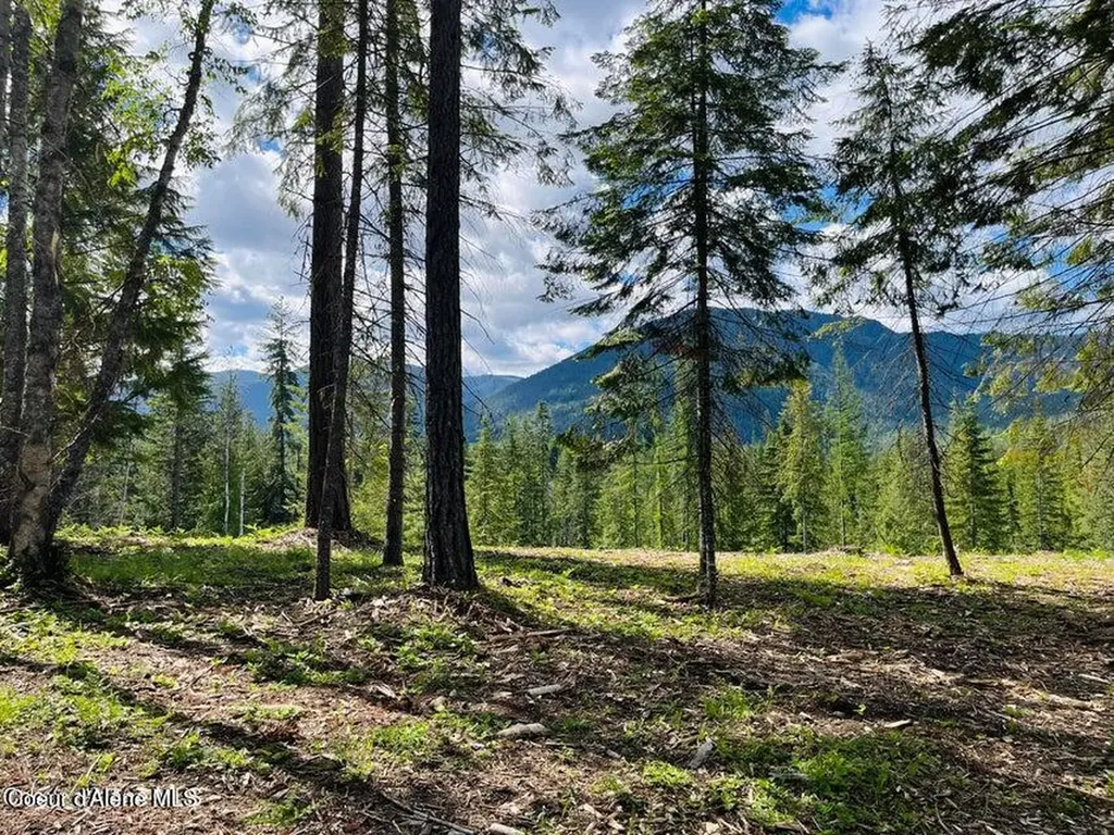 Nka Condor Drive Clark Fork ID 83811