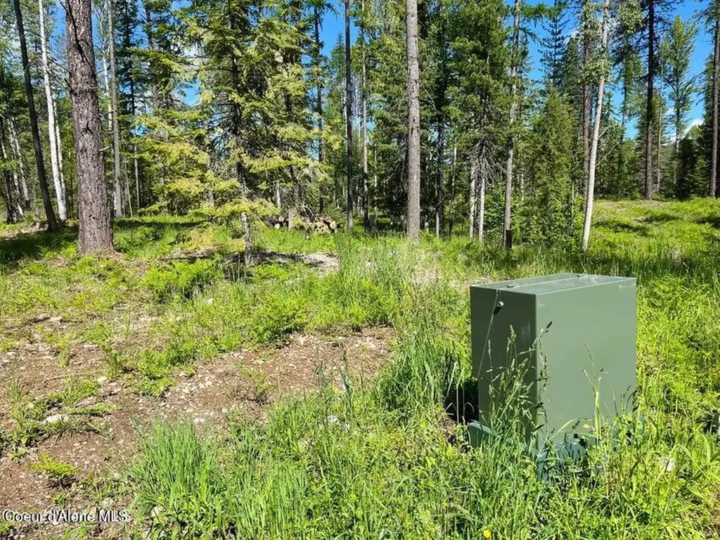 Nka Condor Drive Clark Fork ID 83811