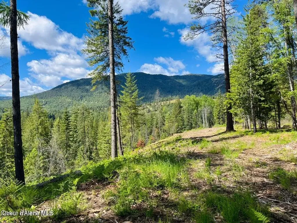 Nka Condor Drive Clark Fork ID 83811
