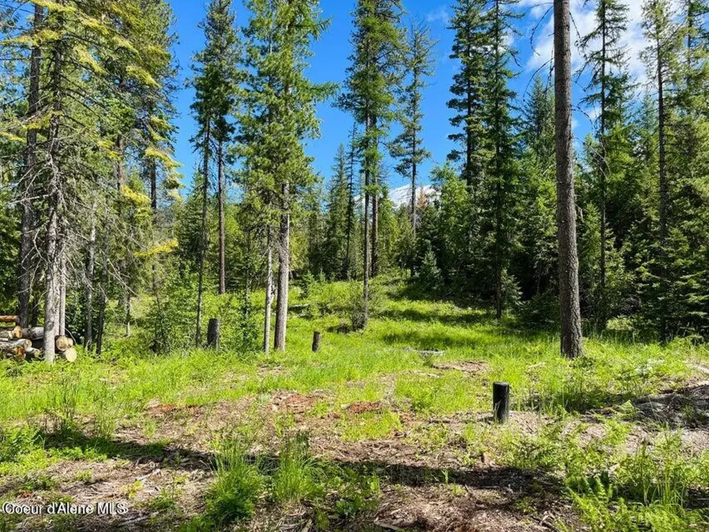 Nka Condor Drive Clark Fork ID 83811