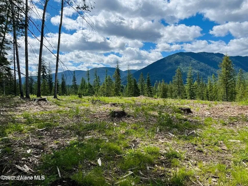 Nka Condor Drive Clark Fork ID 83811