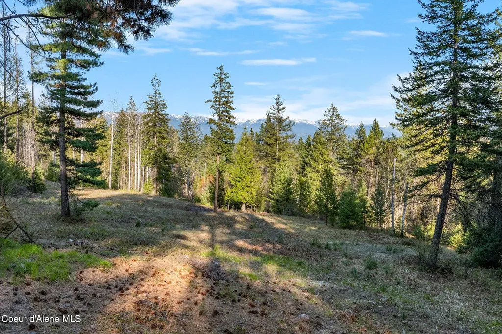 Lot B Spring View Lane Sagle ID 83860