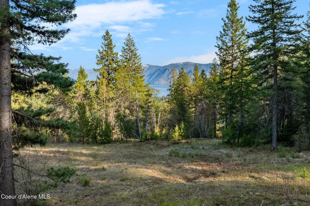 Lot B Spring View Lane Sagle ID 83860