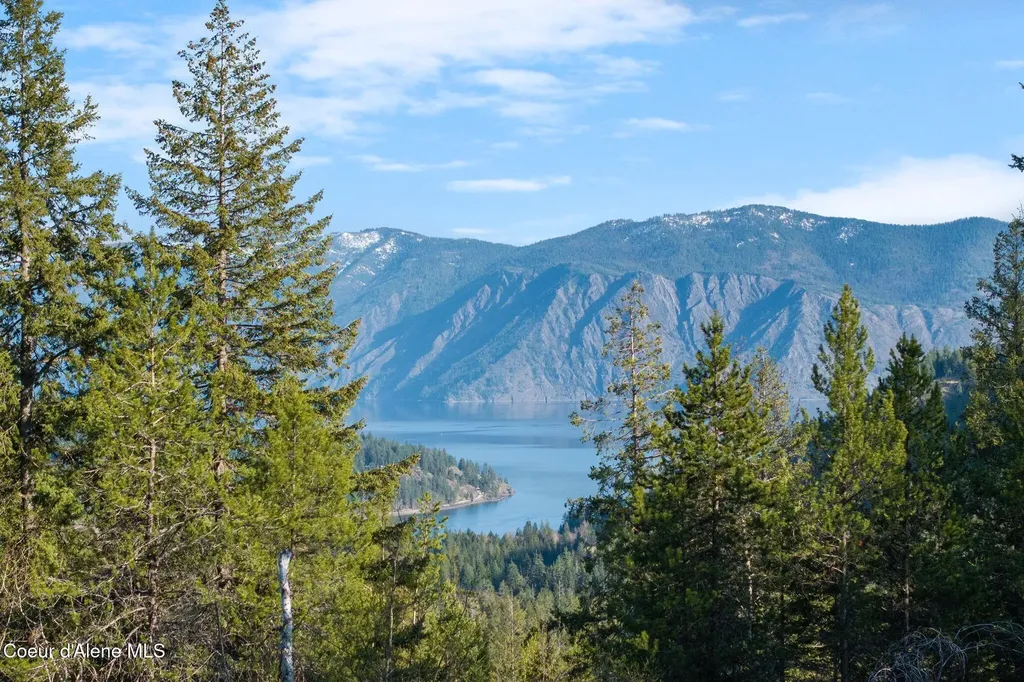 Lot B Spring View Lane Sagle ID 83860