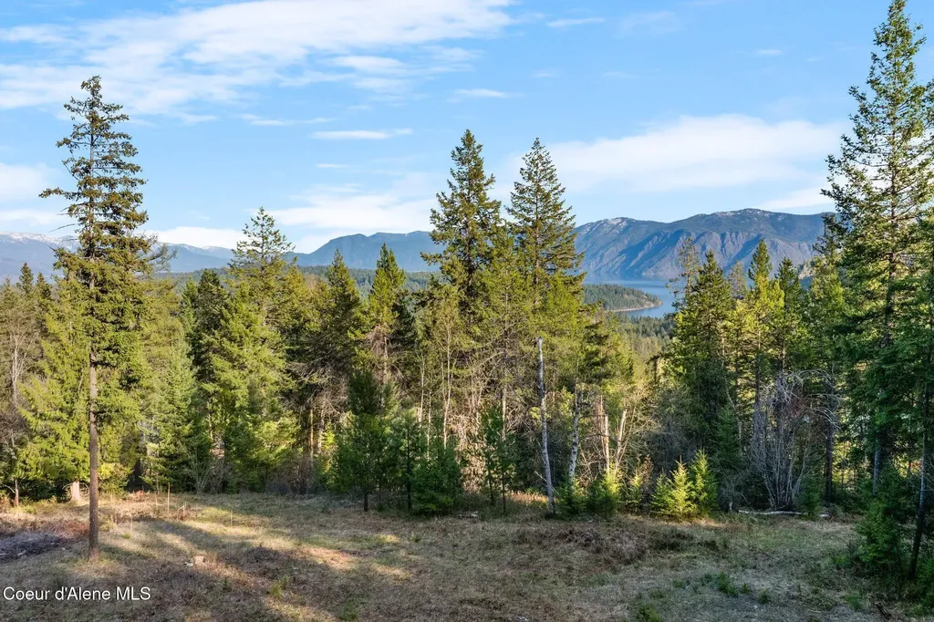 Lot B Spring View Lane Sagle ID 83860