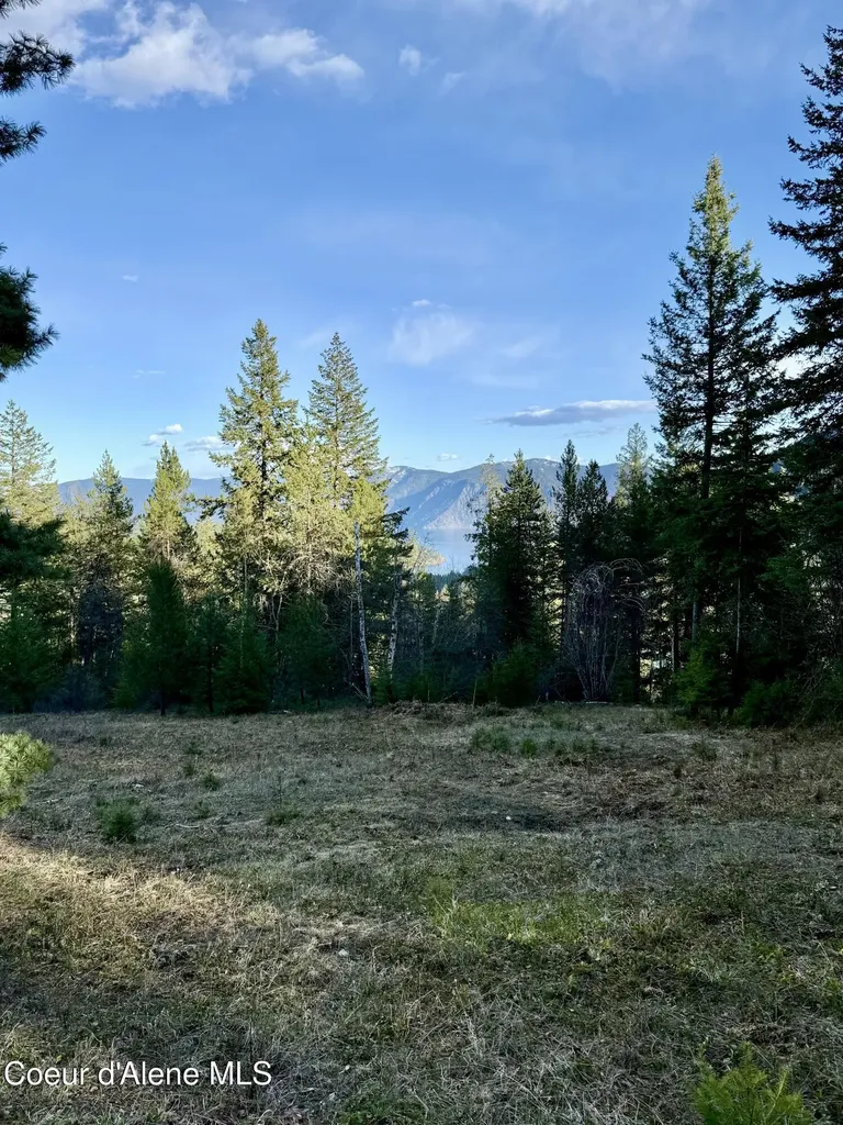 Lot B Spring View Lane Sagle ID 83860