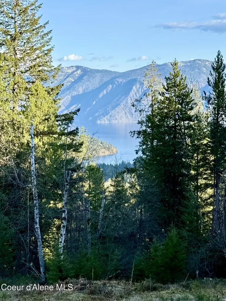 Lot B Spring View Lane Sagle ID 83860