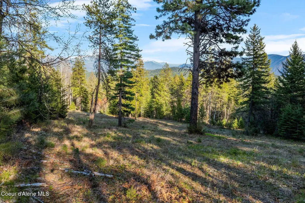 Lot B Spring View Lane Sagle ID 83860
